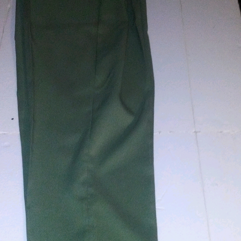 Dress pants